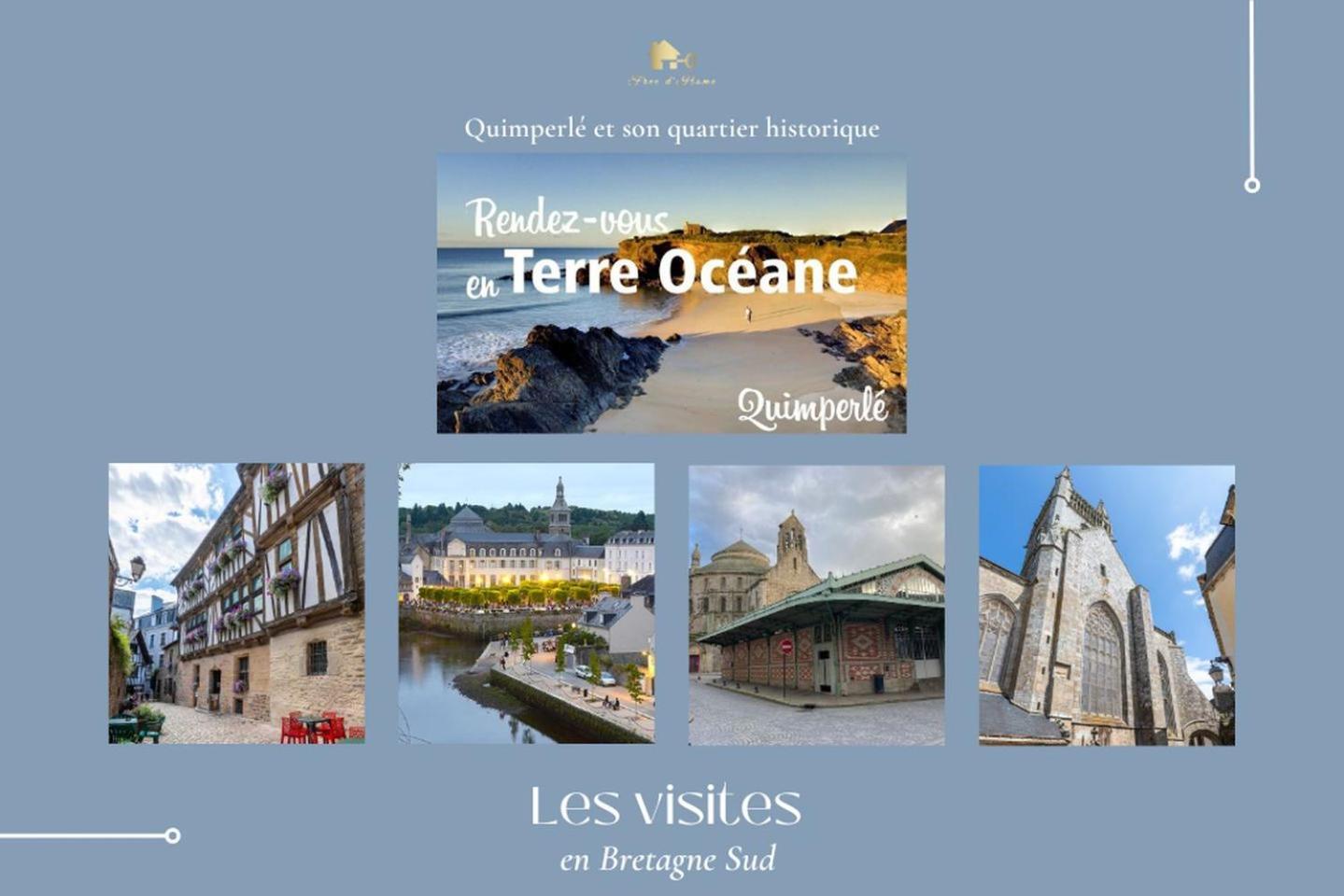 Le Belaven, Neuf, Cosy, Terrasse, Jardin, Kerfany Plage, 1 A 6 Pers Moëlan-sur-Mer Exterior foto