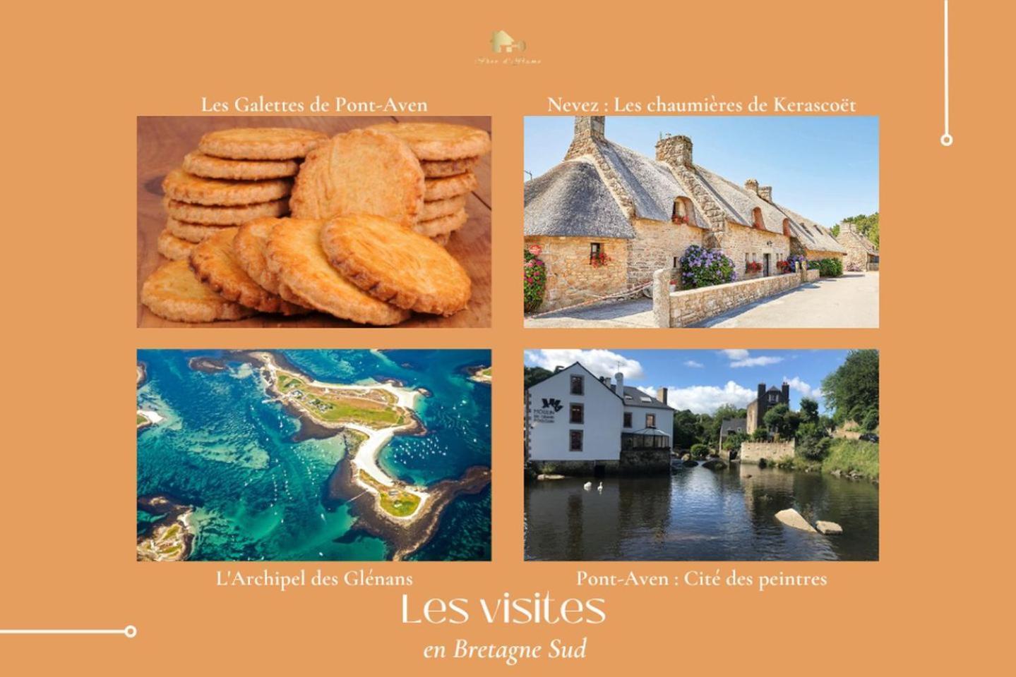 Le Belaven, Neuf, Cosy, Terrasse, Jardin, Kerfany Plage, 1 A 6 Pers Moëlan-sur-Mer Exterior foto