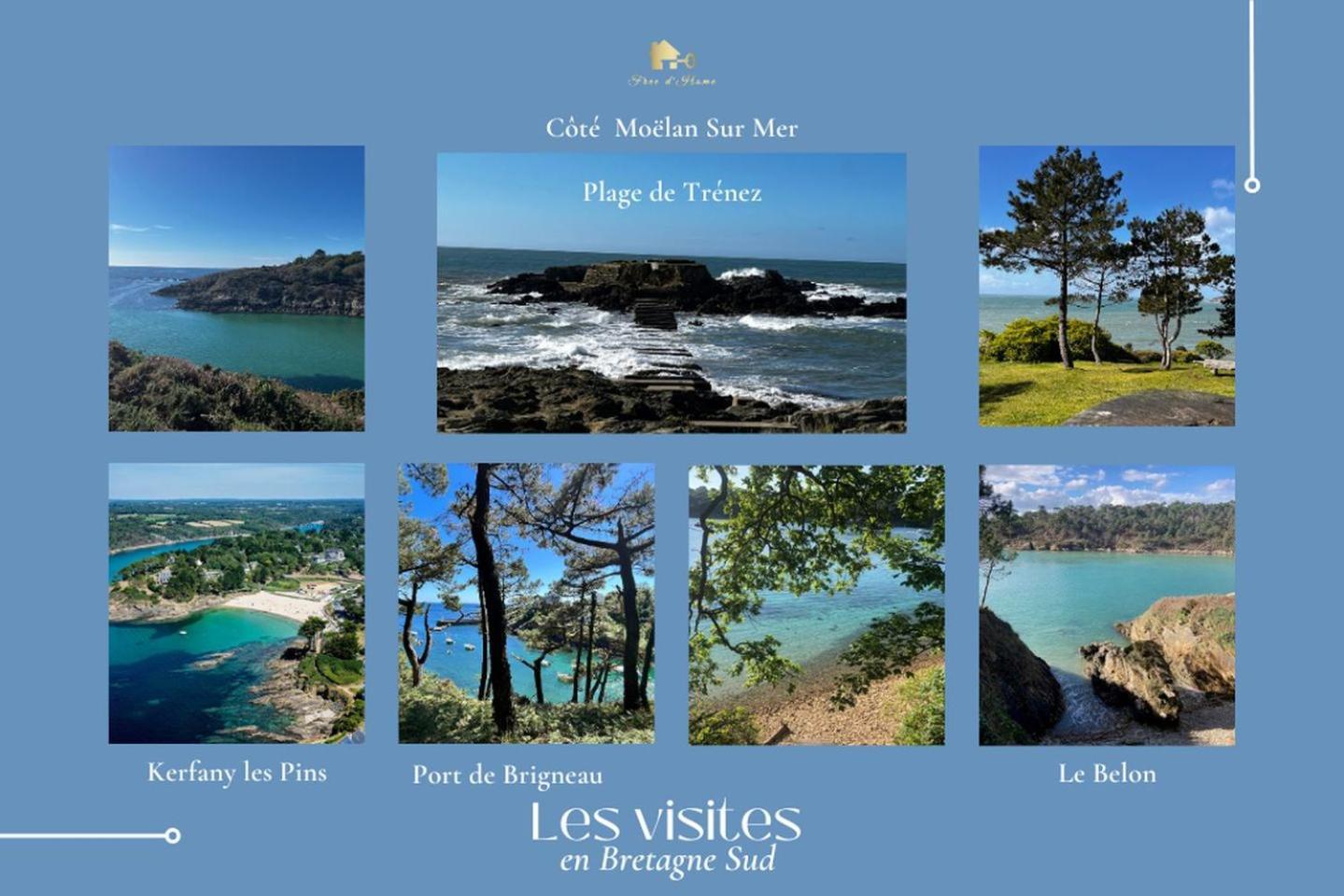 Le Belaven, Neuf, Cosy, Terrasse, Jardin, Kerfany Plage, 1 A 6 Pers Moëlan-sur-Mer Exterior foto